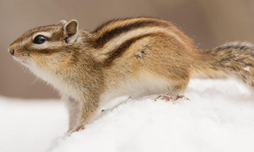 上海约克森机电设备有限公司轮播图1